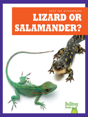 cover image of Lizard or Salamander?
